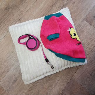 Поводок Flexi, Толстовка, Комбенизон для собаки