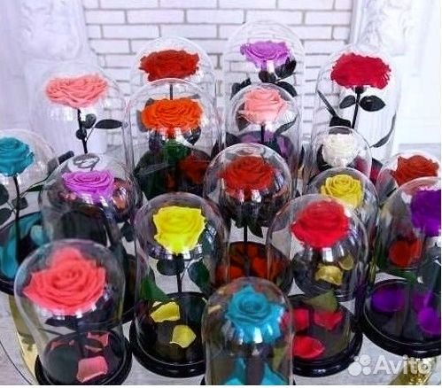 Вечная Роза в колбе. Много моделей. От завода