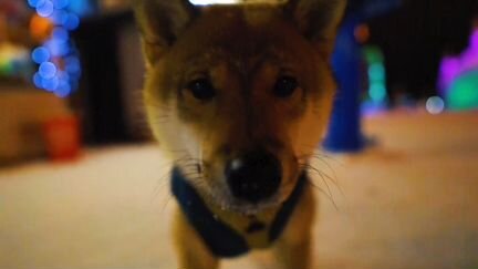 Видеосъёмка, монтаж видео