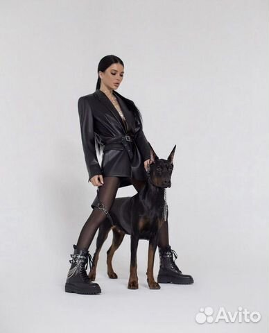 Доберман для фотосессии