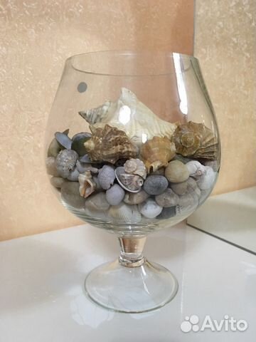 Ракушки, камни для аквариума