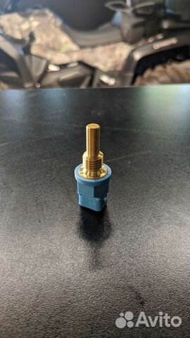 Датчик температуры BRP 420222422