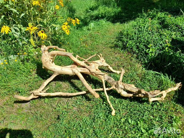 Дрифтвуд, 'Корень мандрагоры' для творчества