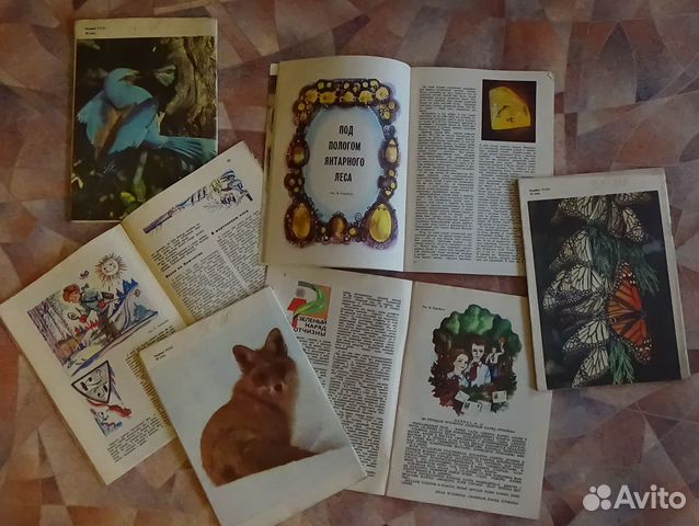 Журнал Юный Натуралист СССР