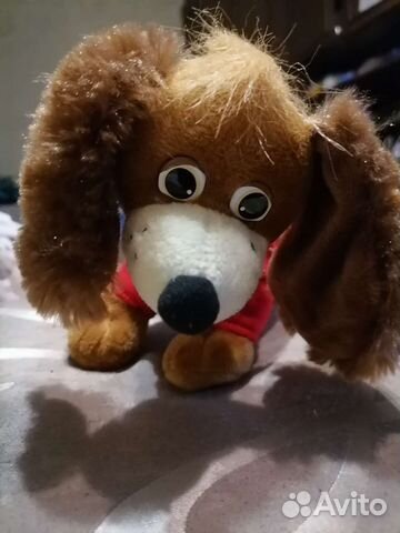 Собака музыкальная