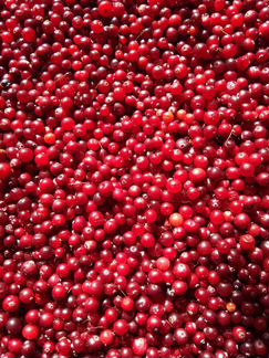 Ягода, Орехи, Сок, Свечи