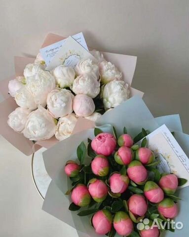 Цветы оптом