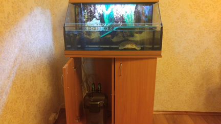 Новый акватеррариум 71x36x45 с тумб. Беспл. доста