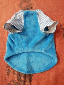 Одежда для собак