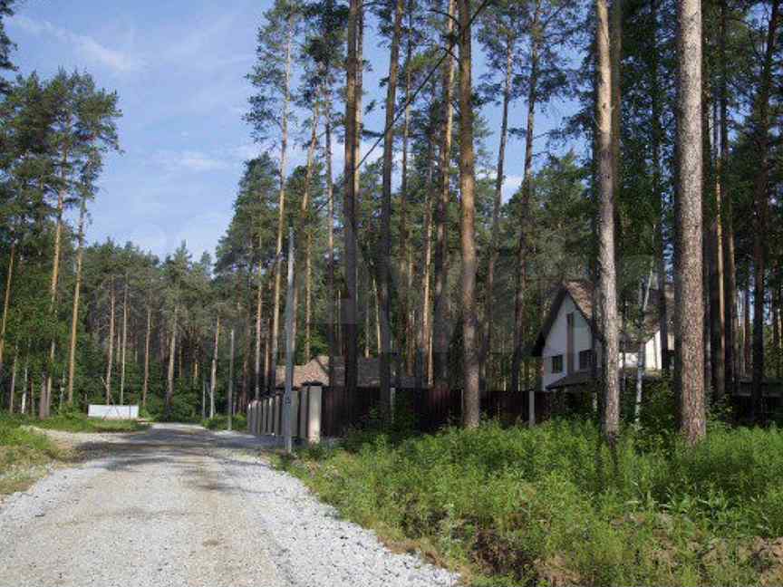 Природный парк малый исток. Малый Исток Кольцово. Поселок малый Исток Екатеринбург. Правительственная дача малый Исток. Природный парк малый Исток Екатеринбург.