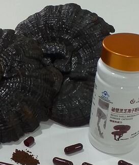 Споры гриба линчжи (ганодермы)