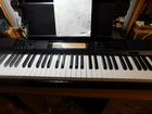 Цифровое пиано Casio CDP-200R