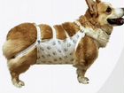 Одежда для средних собак