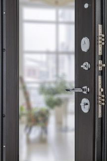 Дверь Входная комплект