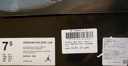 Nike Jordan why not