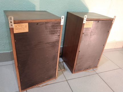 Колонки 25ас-109