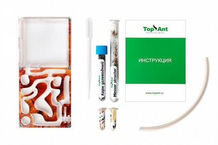 Малая муравьиная ферма (Дерево)