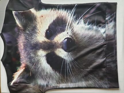 Лонгслив с принтом енот