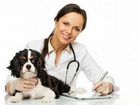 Ветеринарный фармацевт-администратор объявление продам