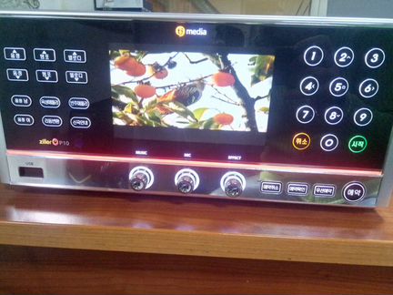 Media, Ziller P 10 караоке систем