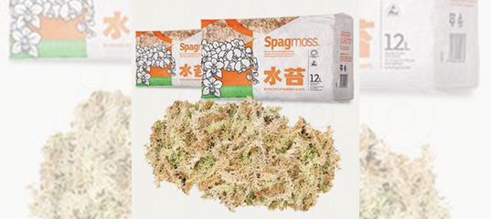 Мох сфагнум Spagmoss