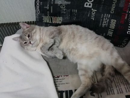 Вязка за коробку конфет